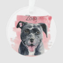 Pesquisar por americanos ornamentos Cães