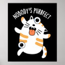 Pesquisar por piadas gato Para todos