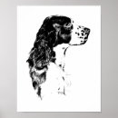Pesquisar por springer spaniel pôsteres pósteres Cão