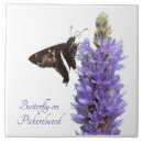 Pesquisar por borboleta branca das borboletas azulejos Floral