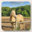 Pesquisar por palomino porta copos Equestre