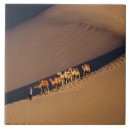 Pesquisar por camelos azulejos Natureza