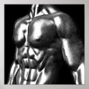 Pesquisar por torso Músculos