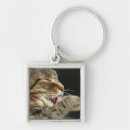 Pesquisar por paw chaveiros Animal