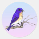 Pesquisar por bluebird adesivos Aves