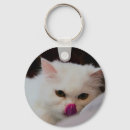 Pesquisar por gato persa chaveiros Bonito