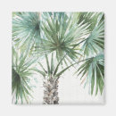 Pesquisar por elementos naturais imas Palmeira