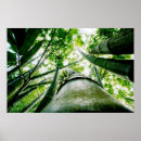 Pesquisar por mauricio pôsteres pósteres Verde