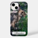 Pesquisar por de dos animais selvagens eletronicos Fotografia da natureza