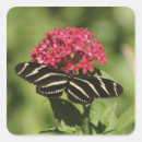 Pesquisar por zebra listrada adesivos Listrado