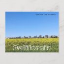 Pesquisar por amarelo mostarda cartoes postais Flores