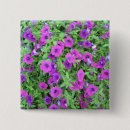 Pesquisar por wildflowers botons Plantas