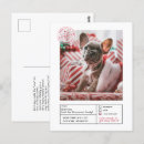 Pesquisar por selo postal engraçado Animal