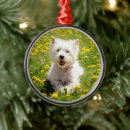 Pesquisar por dog ornamentos Animal