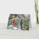 Pesquisar por flores e frutas cartoes Qualquer pessoa