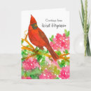 Pesquisar por aves aquáticas cartoes Qualquer pessoa