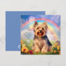 Pesquisar por terrier do yorkie Qualquer pessoa