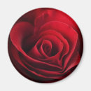 Pesquisar por aromas imas Flor