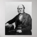 Pesquisar por charles darwin pôsteres pósteres Cientista