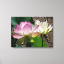 Pesquisar por flor lótus de impressão de canvas Qualquer pessoa