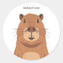 Pesquisar por portrait adesivos Vida selvagem