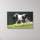 Pesquisar por cavalo bonito impressão de canvas Garanhão