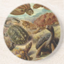 Pesquisar por turtle porta copos Arte