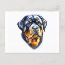 Pesquisar por cão do rottweiler cartoes postais Cãozinho