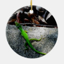Pesquisar por lagartos ornamentos Natureza