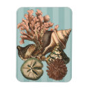 Pesquisar por decorativo imas Vida marinha