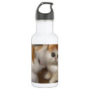 Pesquisar por fofinha garrafa agua Fofinho