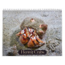 Pesquisar por caranguejo calendarios Calendário