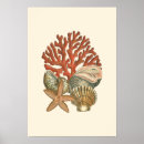 Pesquisar por decoração náutica pôsteres pósteres Natureza