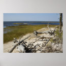 Pesquisar por derivado pôsteres pósteres Praia