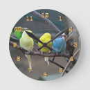 Pesquisar por budgie pôsteres pósteres Animal de estimação