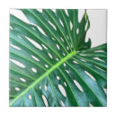 Pesquisar por trópico azulejos Tropicais
