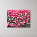 Pesquisar por tulipas impressão de canvas Rosa