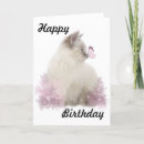 Pesquisar por ragdoll cartoes Kitten