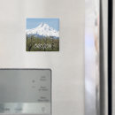 Pesquisar por pico imas Paisagem