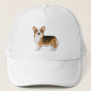 Pesquisar por do corgi bones Canino