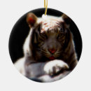 Pesquisar por tigres ornamentos Gato