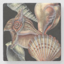 Pesquisar por recife porta copos Vida marinha