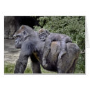 Pesquisar por foto do gorila cartoes postais Animais selvagens