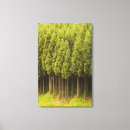 Pesquisar por cedro impressão de canvas Floresta