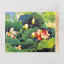 Pesquisar por flor chinesa cartoes postais Verde