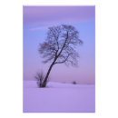 Pesquisar por campos nevado fotografia Árvore