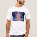 Pesquisar por bora roupas Palmeira