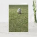 Pesquisar por rugby cartoes Bola