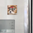 Pesquisar por food imas Dog