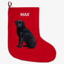 Pesquisar por labrador retriever de natal meias de natal Animais de estimação